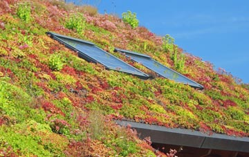 Doehole living roof systems